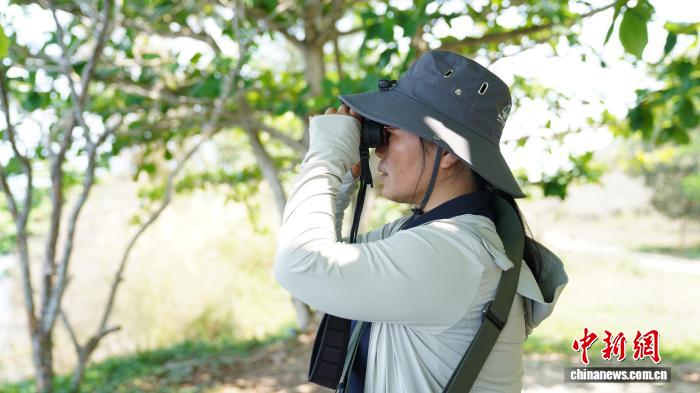 湿地守护者薛美丽:它就像自己的孩子一样