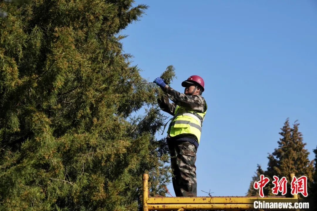 花粉季来袭,如何破解春日里的健康考题?