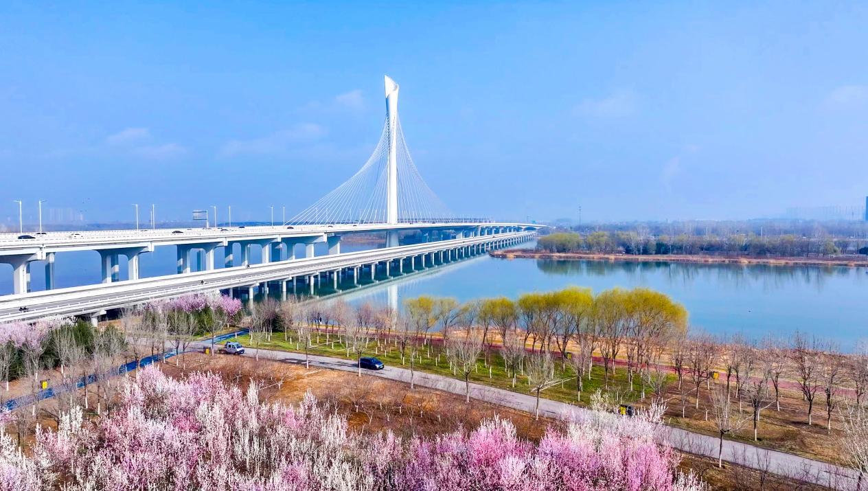 美丽河北|花开正艳 石家庄处处春意浓