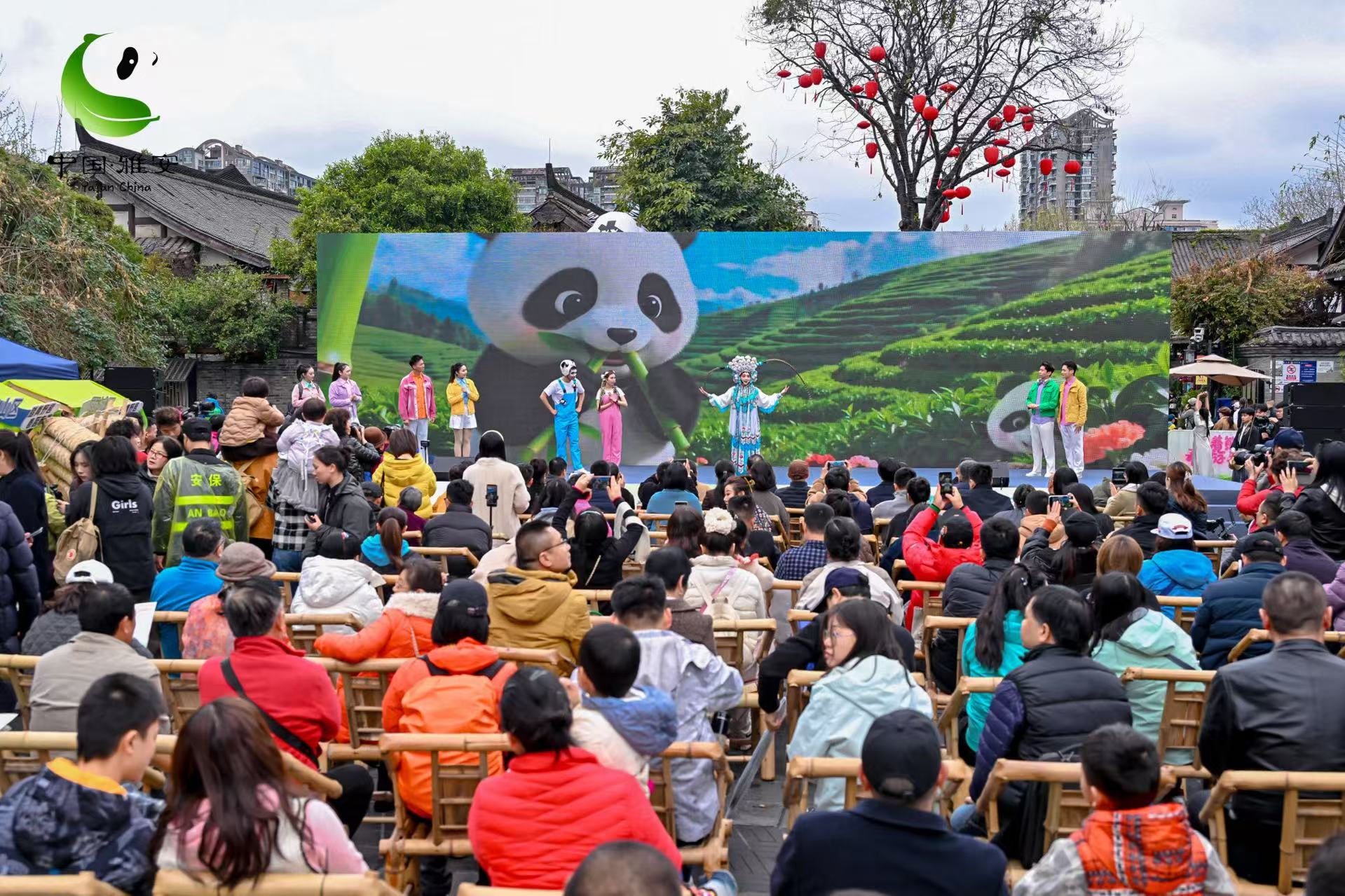以熊猫与春茶为媒 四川雅安发出春日邀约