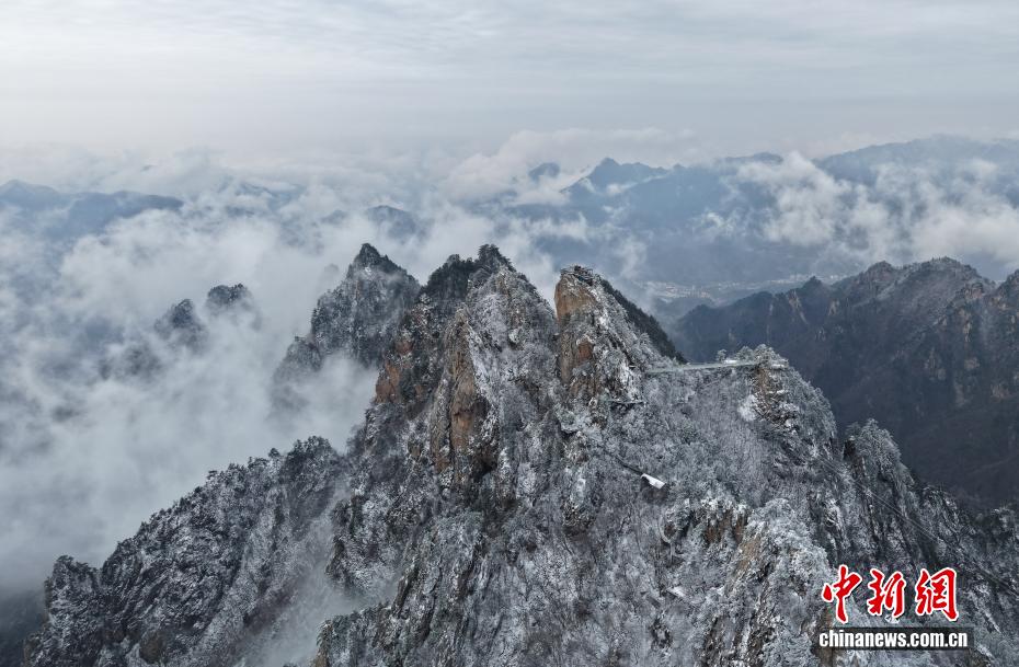 河南老界岭：春雪云海齐上线