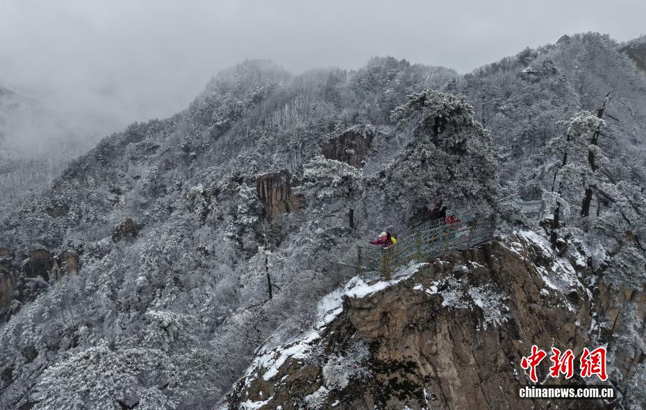 河南老界岭：春雪云海齐上线