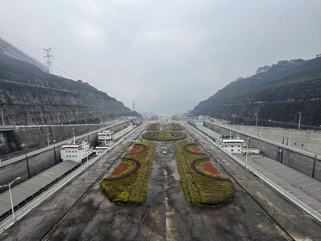 这个春运，三峡枢纽通过货物1548.8万吨