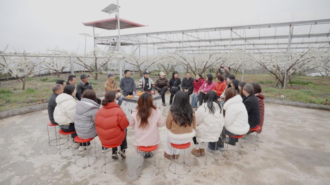 重庆巫山水磨村：李花深处有条“联建路”