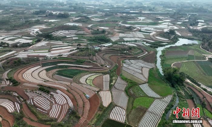 广西南宁春日田园宛如打翻调色盘