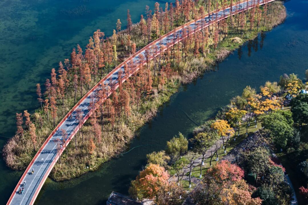 外交部发言人海外推荐成都!