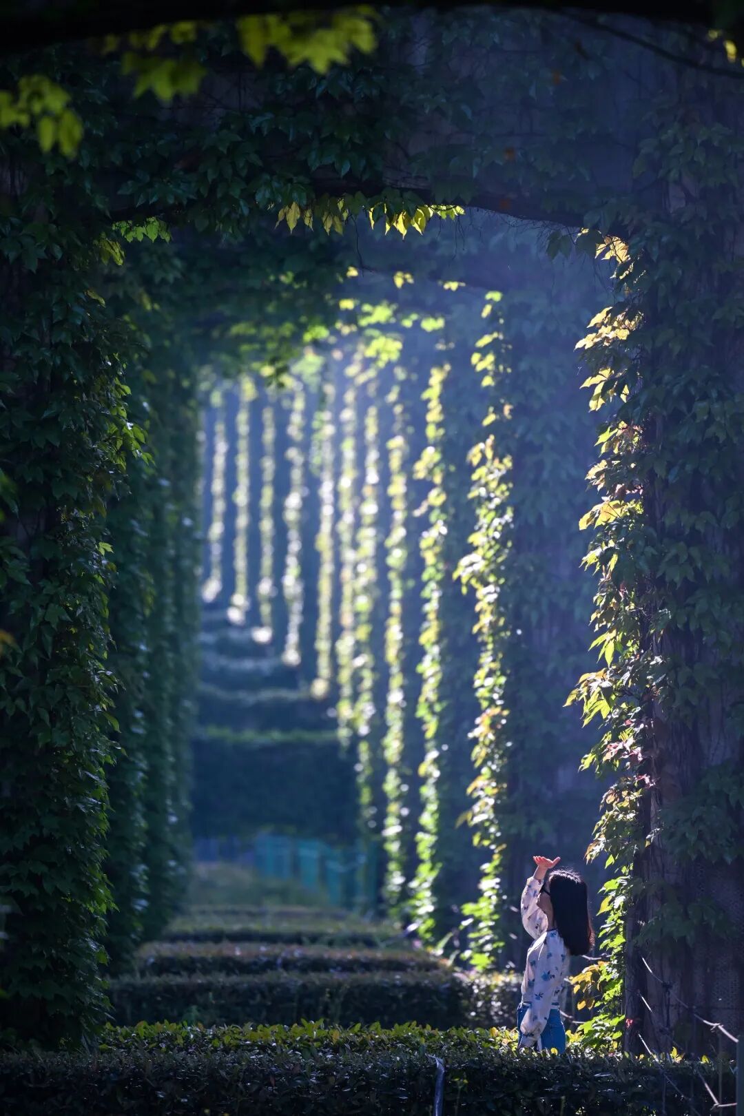 外交部发言人海外推荐成都!