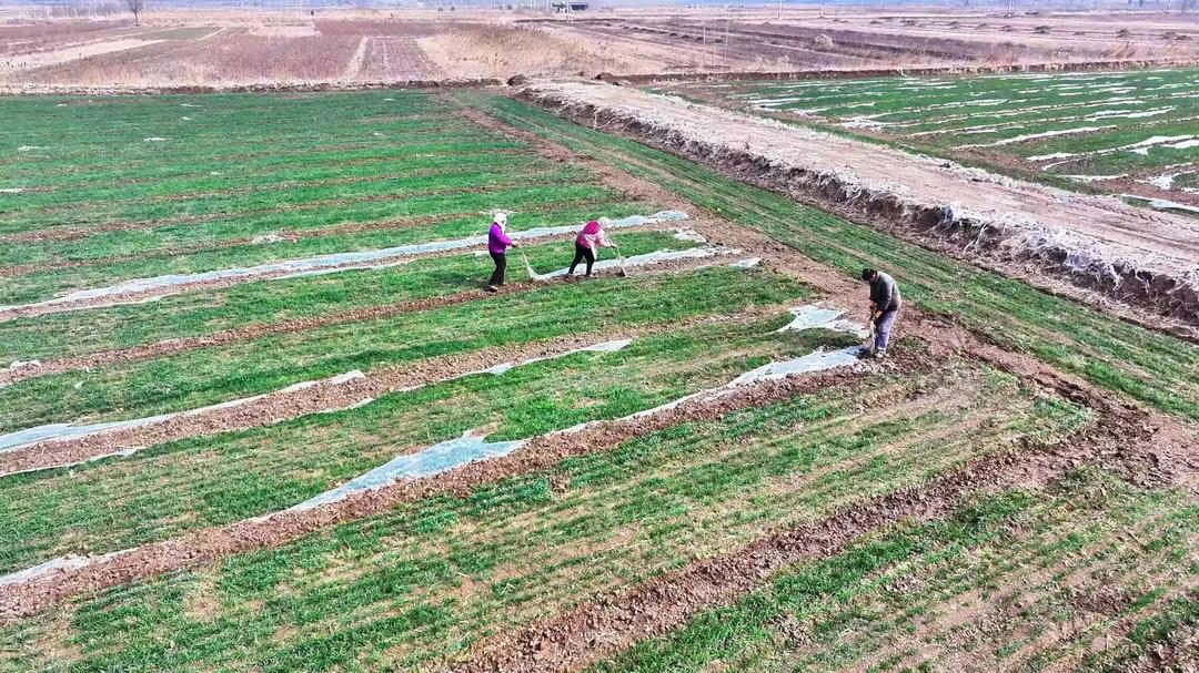 科技护航粮食丰产 利津县2.3万台（套）农机具保障春季农业生产