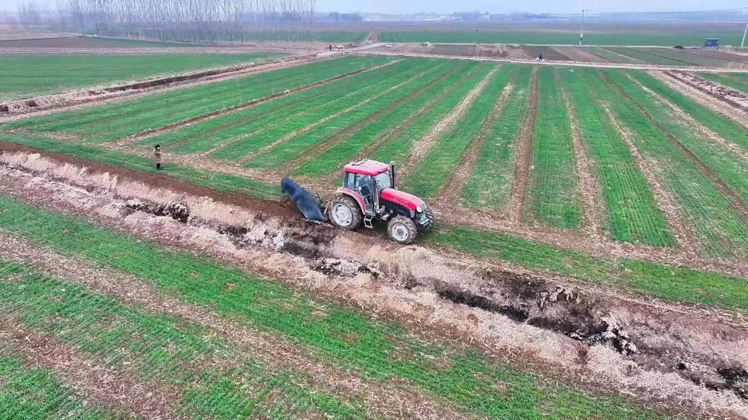 科技护航粮食丰产 利津县2.3万台（套）农机具保障春季农业生产