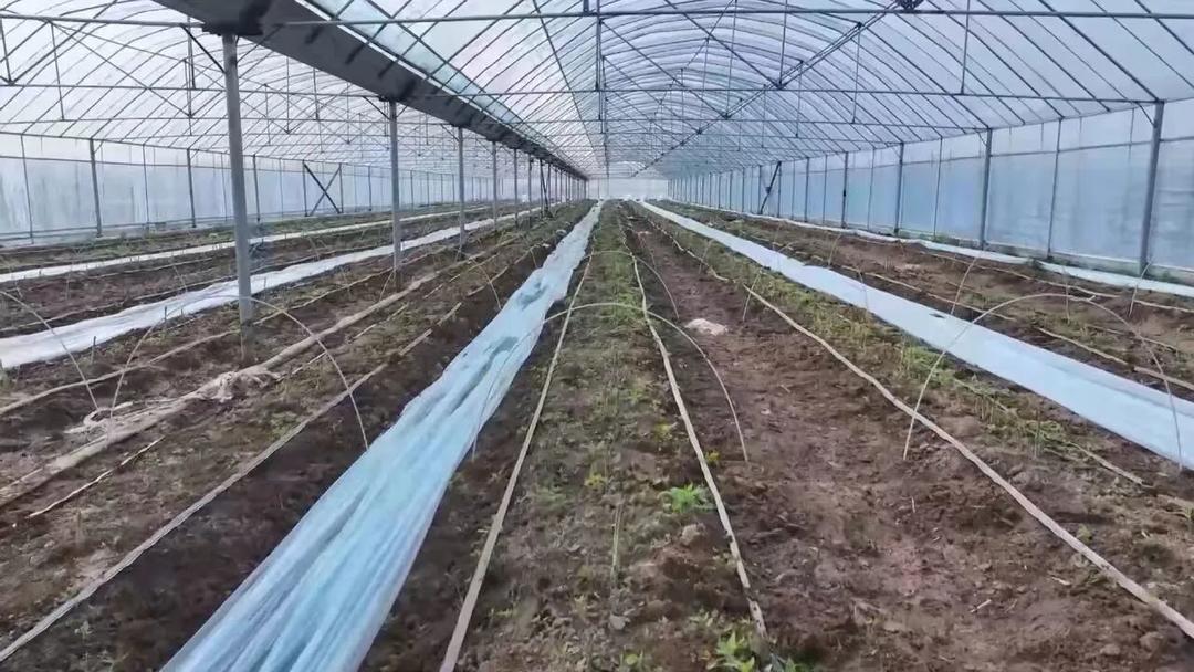 科技护航粮食丰产 利津县2.3万台（套）农机具保障春季农业生产