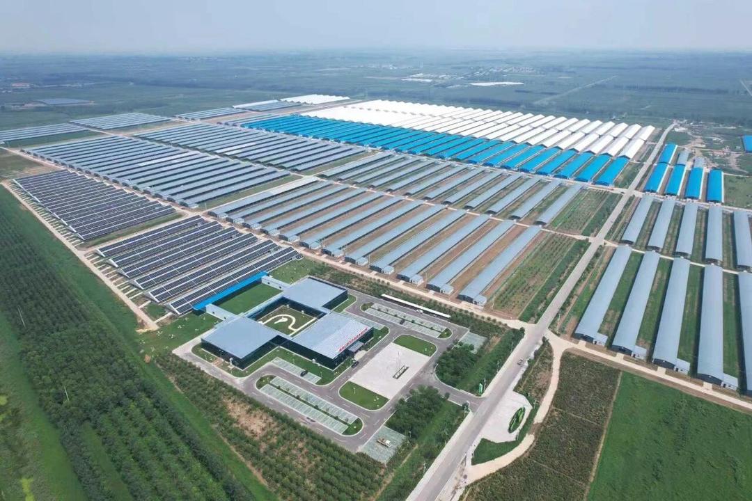 科技护航粮食丰产 利津县2.3万台（套）农机具保障春季农业生产