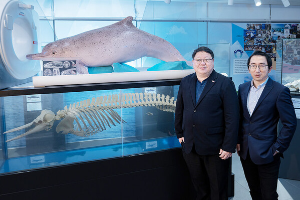 香港城市大学研究揭示液晶显示屏化学物可穿透海豚大脑 威胁海洋生态 香港城市大学研究揭示液晶显示屏化学物可穿透海豚大脑 威胁海洋生态