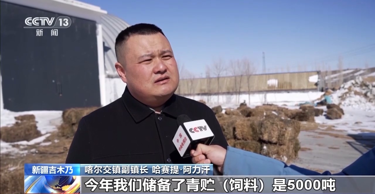 游牧→定居 放牧→创业 从牧民生活变化看新疆畜牧业高质量发展