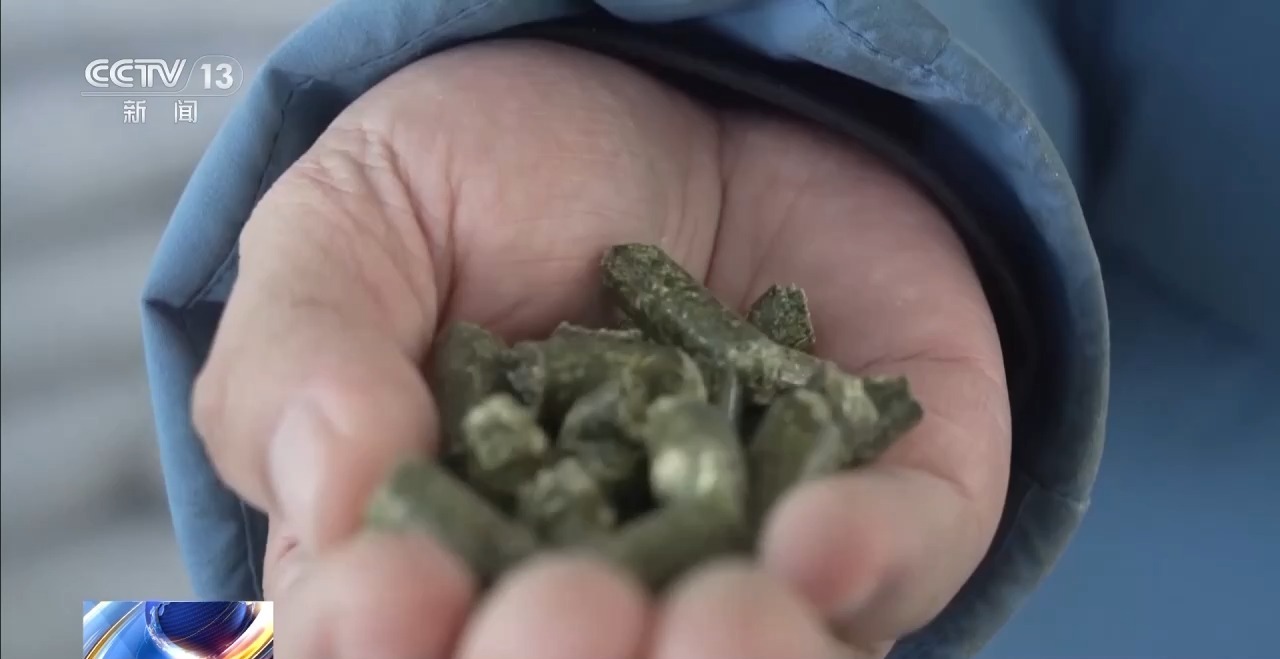 游牧→定居 放牧→创业 从牧民生活变化看新疆畜牧业高质量发展