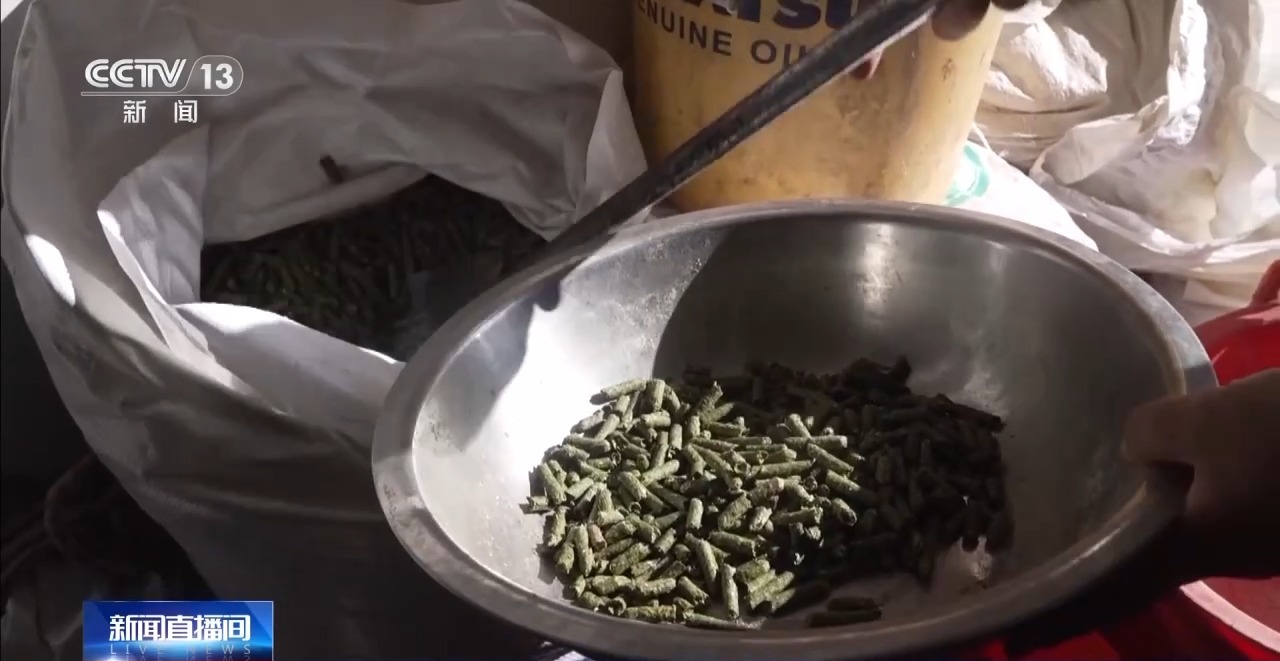 游牧→定居 放牧→创业 从牧民生活变化看新疆畜牧业高质量发展