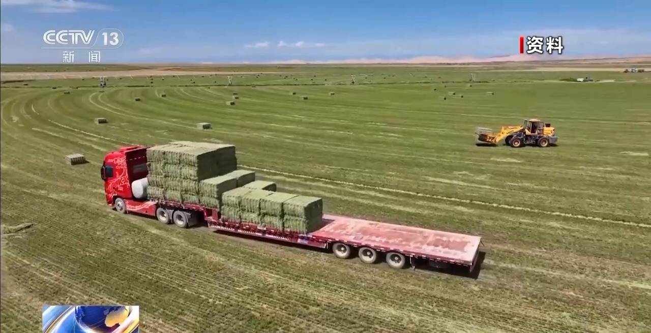 游牧→定居 放牧→创业 从牧民生活变化看新疆畜牧业高质量发展