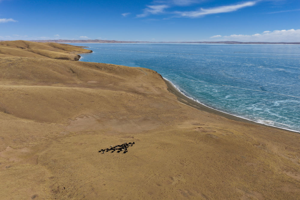 世界水日：听，跨越山河的同频共振