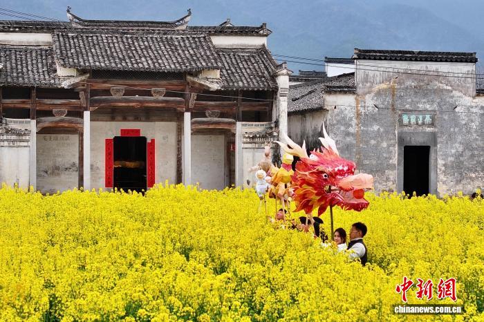 皖南青年返乡故事:让故土生“新芽”