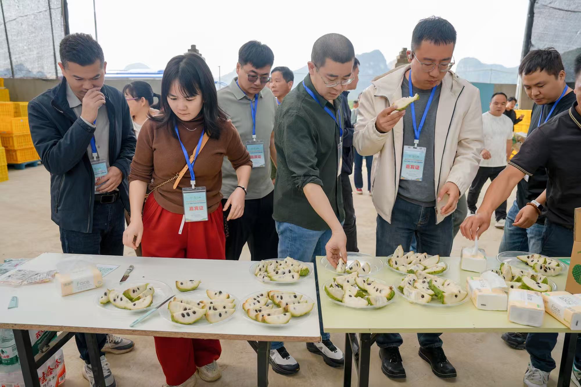 广西助推“八桂优果”走出国门 广西助推“八桂优果”走出国门