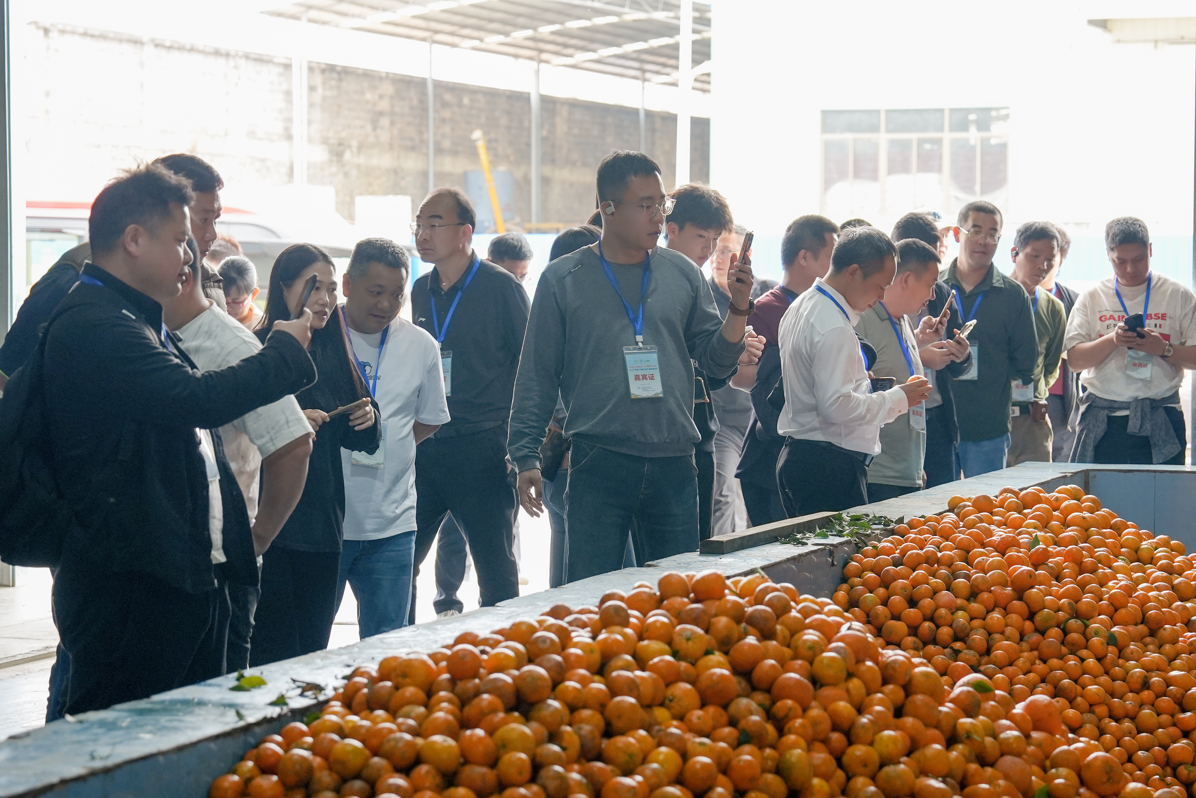 广西助推“八桂优果”走出国门 广西助推“八桂优果”走出国门