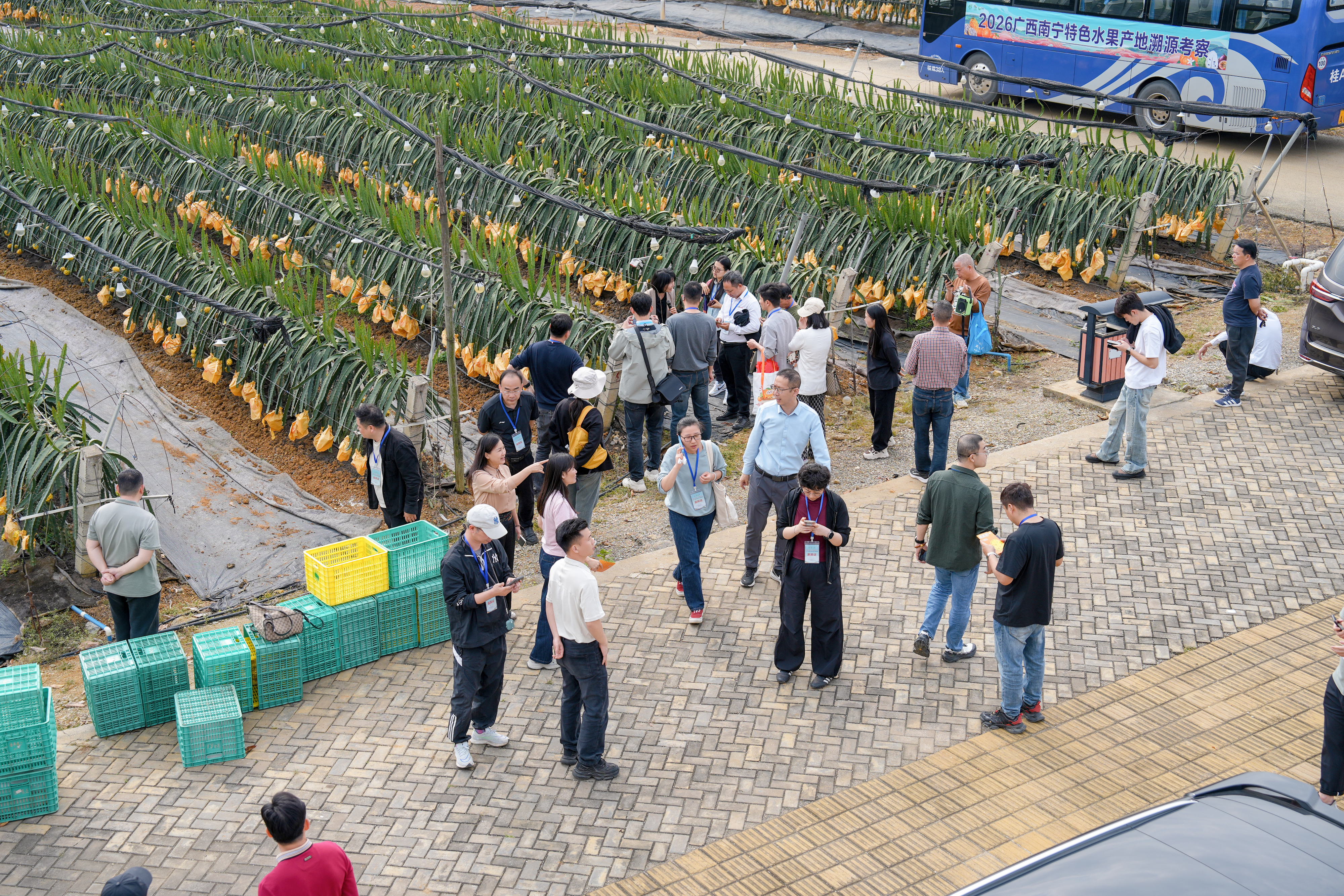 广西助推“八桂优果”走出国门 广西助推“八桂优果”走出国门