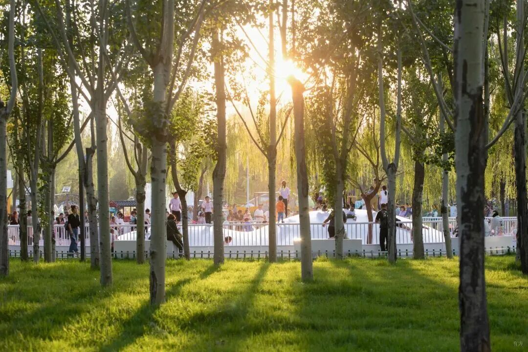 鄂尔多斯在中国城市公共空间工作进展与评估中表现良好