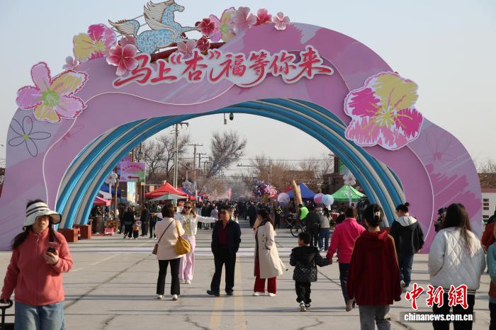 新疆“杏花村”:“以花为媒”解锁“杏”福产业