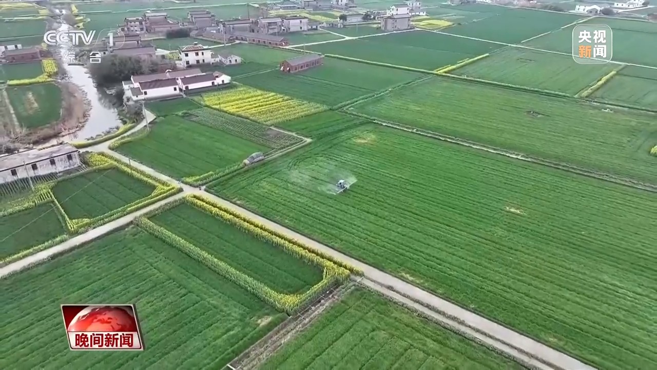 从田间到花海 科技春耕与春日经济共绘希望田野