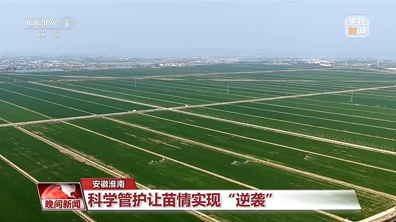 从田间到花海 科技春耕与春日经济共绘希望田野