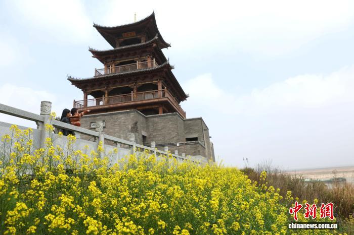 春日访鄱阳湖吴城候鸟小镇:候鸟北归去 春意正盎然