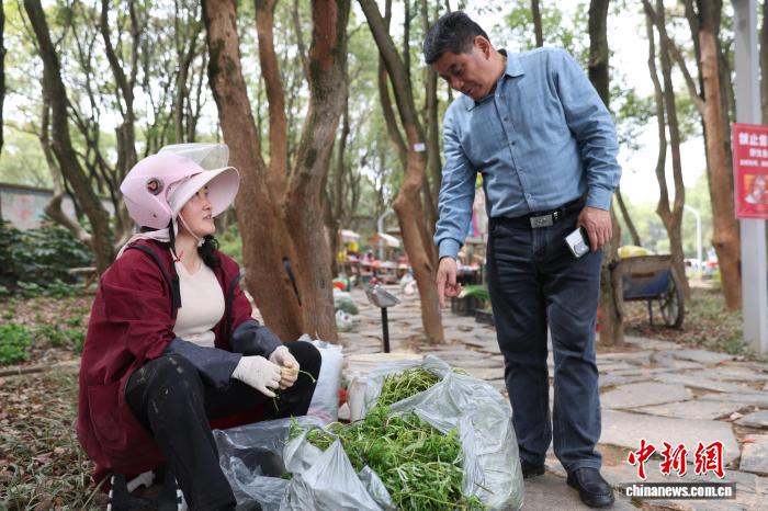 春日访鄱阳湖吴城候鸟小镇:候鸟北归去 春意正盎然