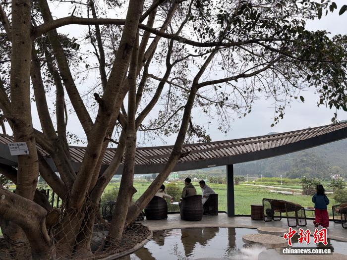 贵州兴义布依族村寨:闲置房变民宿 浣衣地成咖啡店