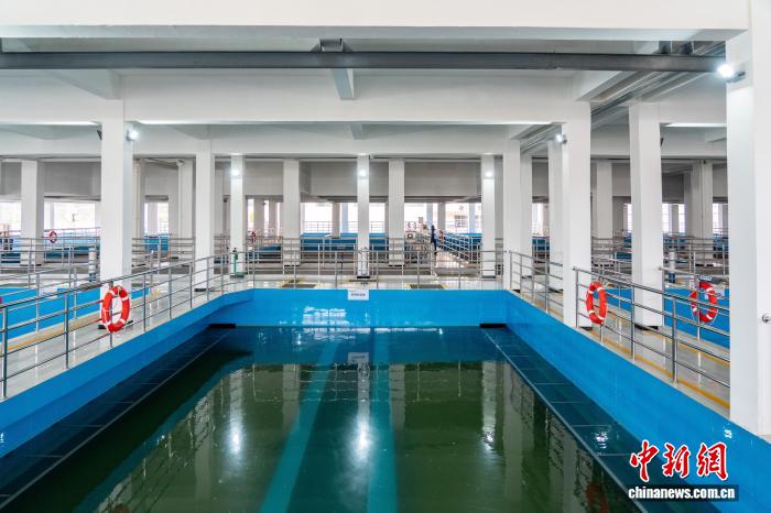 “一滴水”的巴渝之旅:从源头到龙头、从污水到清流