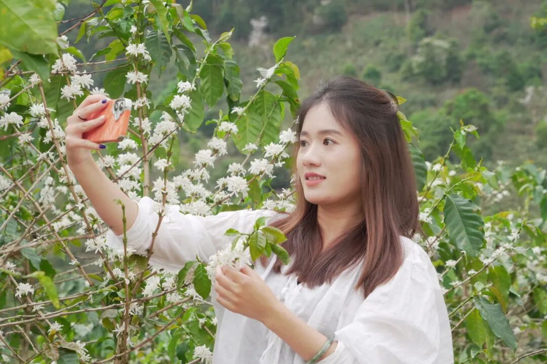 花开六顺:山花烂漫时 香飘致富路 | 一线看发展