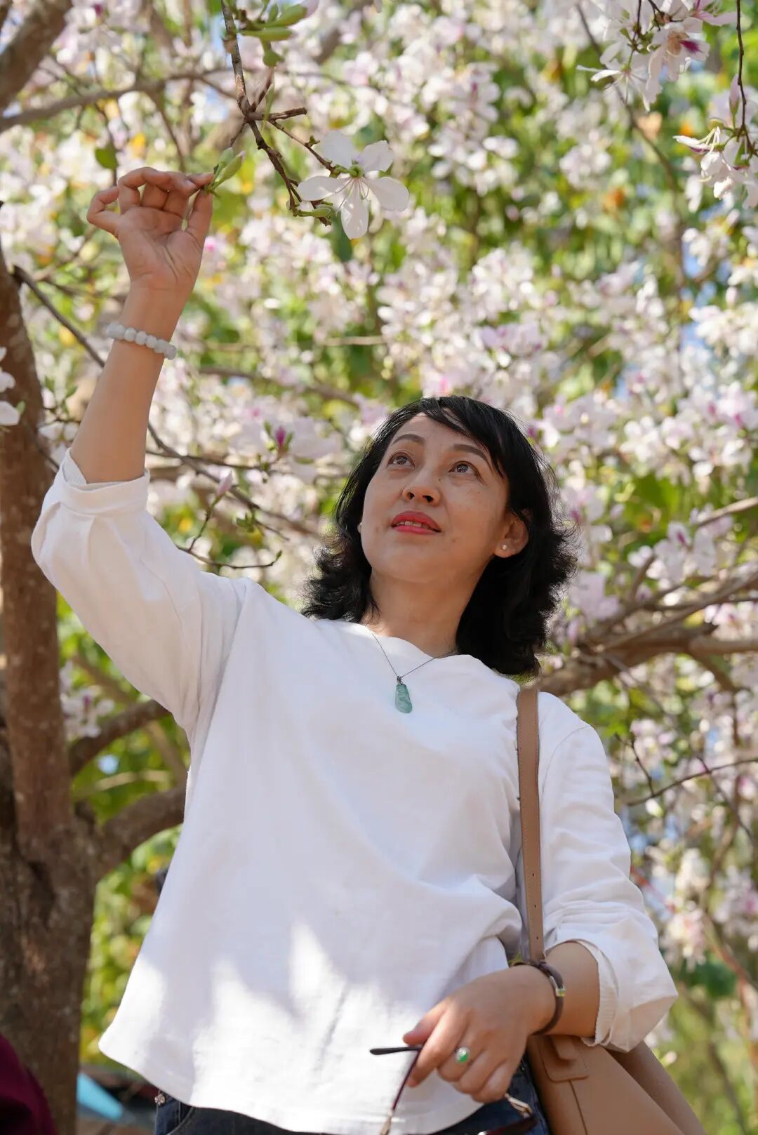 花开六顺:山花烂漫时 香飘致富路 | 一线看发展