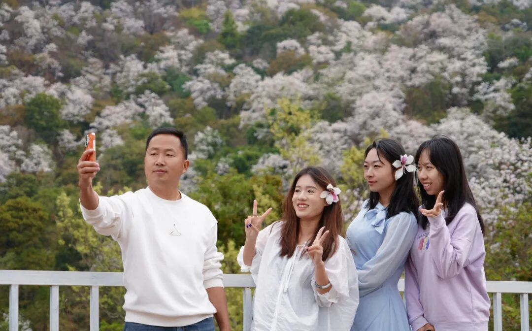 花开六顺:山花烂漫时 香飘致富路 | 一线看发展