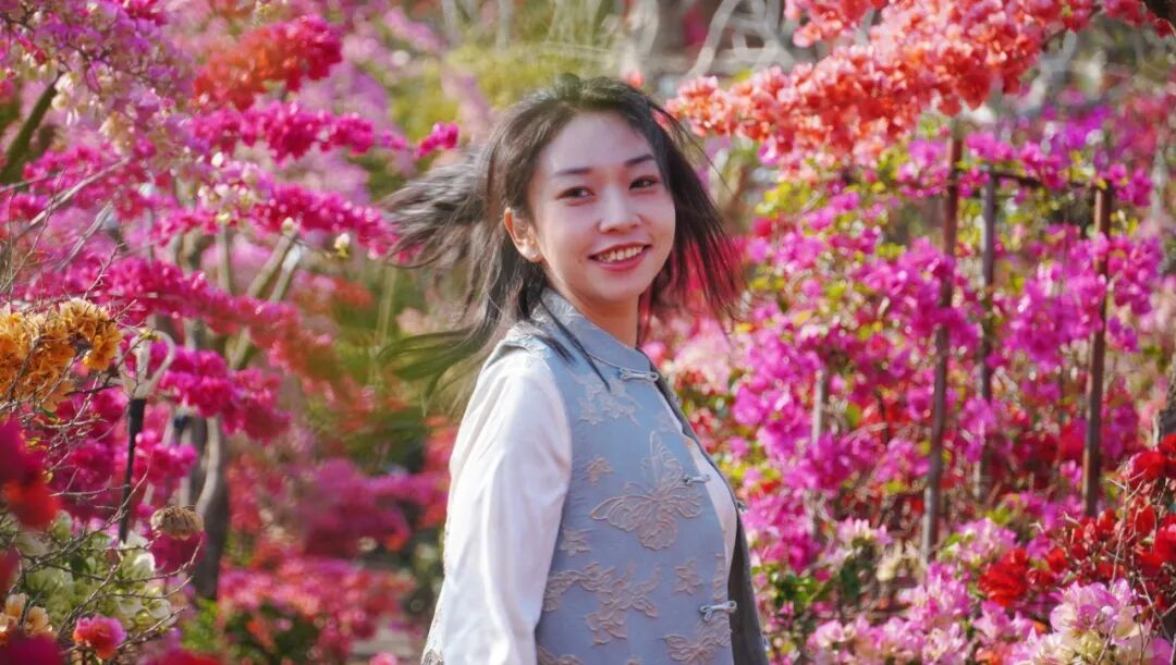 三角梅开成海,我想把思茅的春天寄给你 | 有一种叫云南的生活