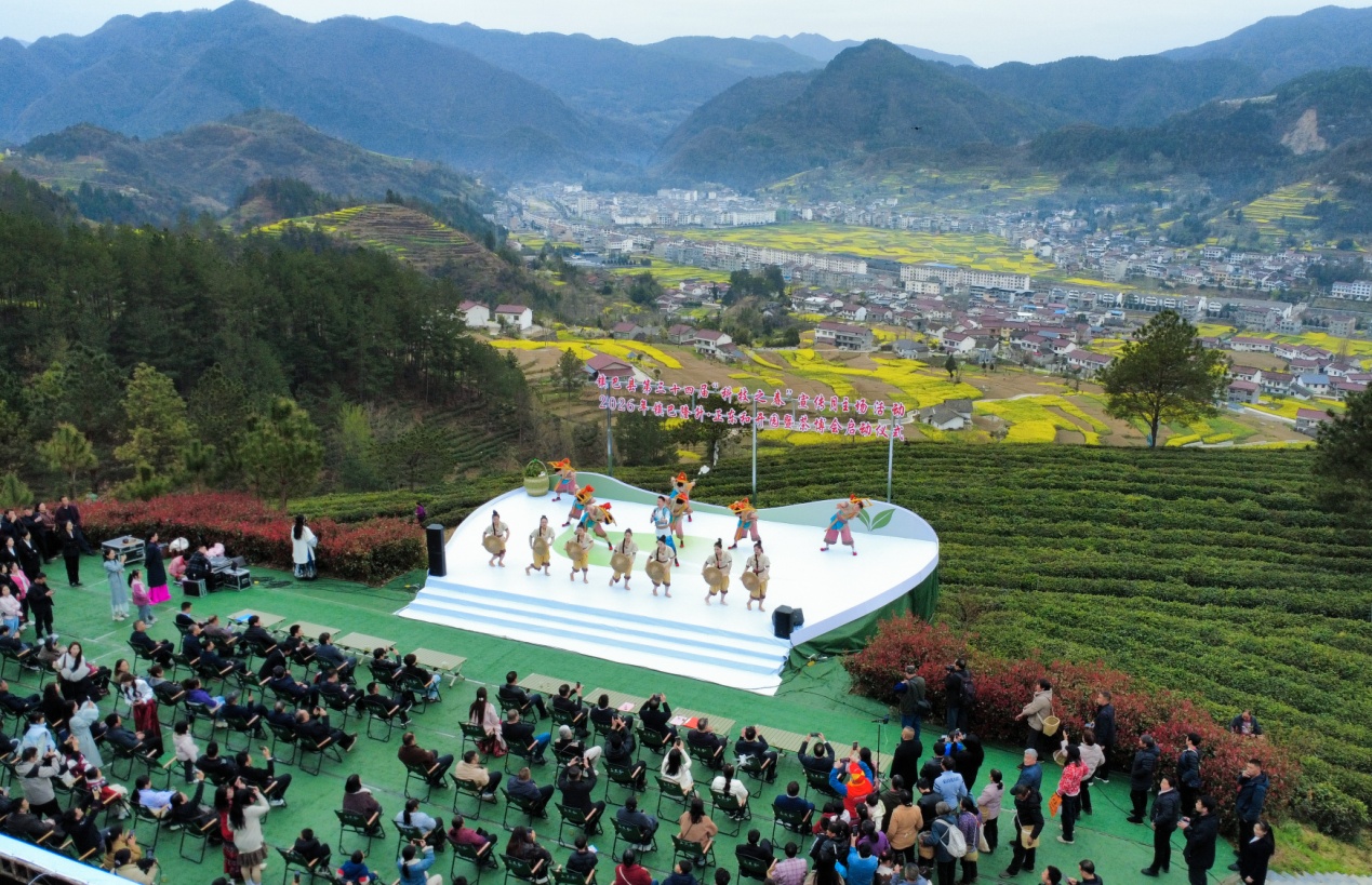 陕西镇巴：科技赋能茶产业 春茶开园促振兴