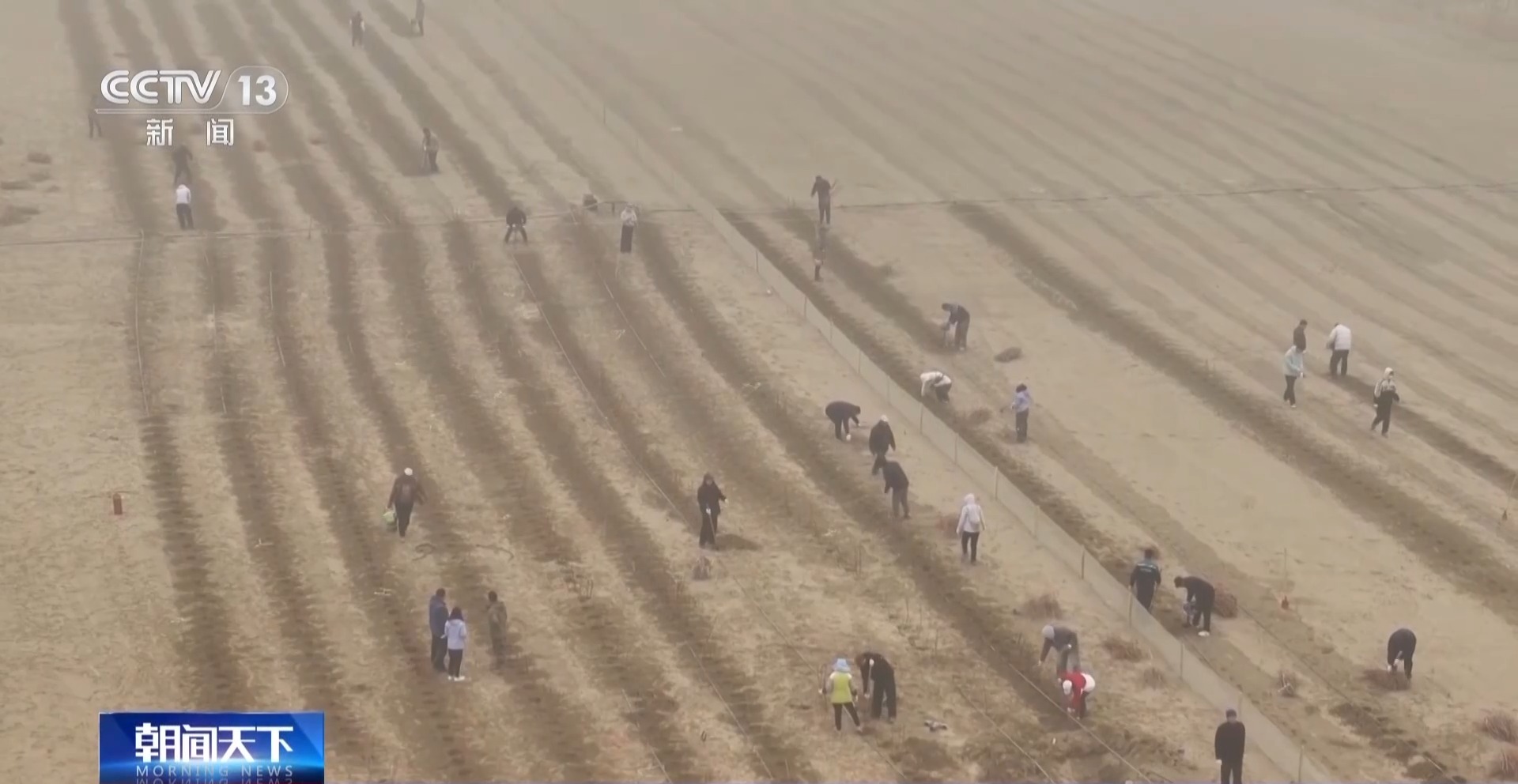 塔克拉玛干沙漠锁边扩绿工程启动 织密绿色防护网