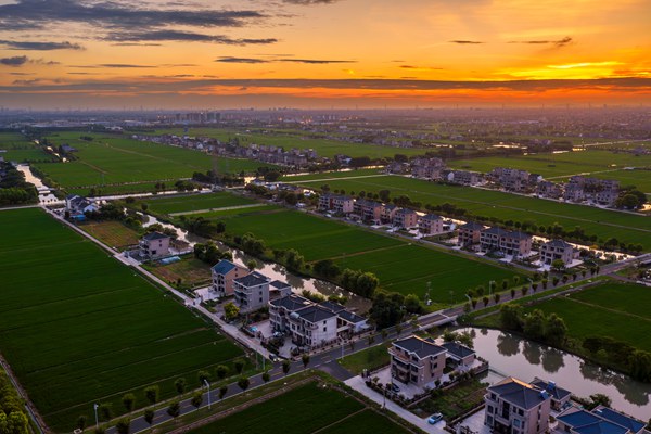 江苏太仓春日限定|让我们循着农路,赴一场乡野踏青之约! 江苏太仓春日限定|让我们循着农路,赴一场乡野踏青之约!