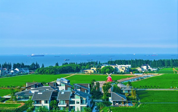 江苏太仓春日限定|让我们循着农路,赴一场乡野踏青之约! 江苏太仓春日限定|让我们循着农路,赴一场乡野踏青之约!