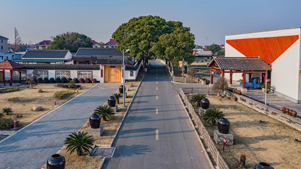 江苏太仓春日限定|让我们循着农路,赴一场乡野踏青之约! 江苏太仓春日限定|让我们循着农路,赴一场乡野踏青之约!