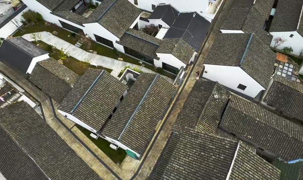 江苏太仓春日限定|让我们循着农路,赴一场乡野踏青之约! 江苏太仓春日限定|让我们循着农路,赴一场乡野踏青之约!