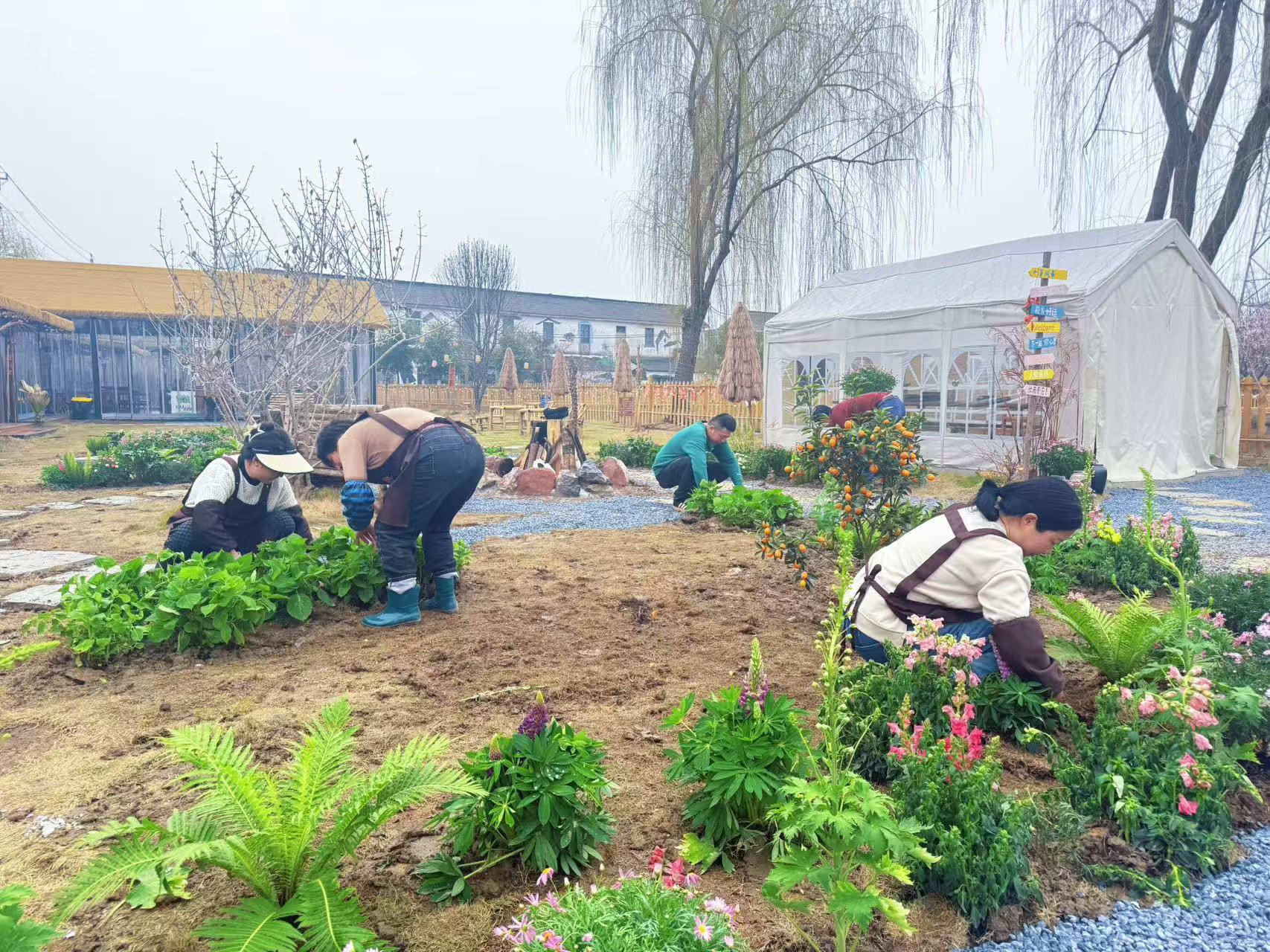 老手艺、新花海、强产业！江苏邗江区瓜洲古镇春日焕新出圈