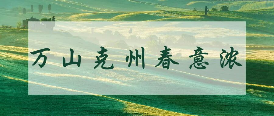 以花为媒促振兴 “杏杏”相印一家亲——克州阿克陶县第四届昆仑大峡谷杏花旅游季启幕