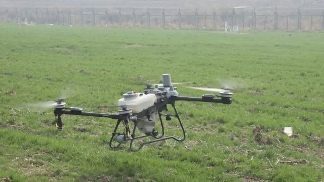 江苏连云港:全链条执法 “绿剑护粮安”守护“米袋子”和“菜篮子” 江苏连云港:全链条执法 “绿剑护粮安”守护“米袋子”和“菜篮子”