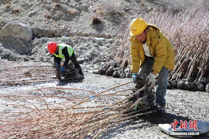 无人机助力西藏山南造林 生态富民实现双赢 无人机助力西藏山南造林 生态富民实现双赢