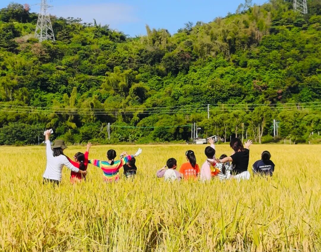 连放5天!关于佛山春假,市教育局最新回应 图片