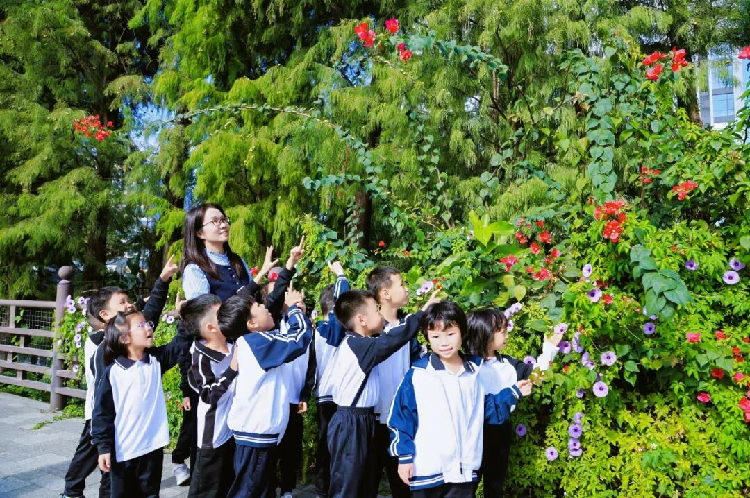 连放5天!关于佛山春假,市教育局最新回应