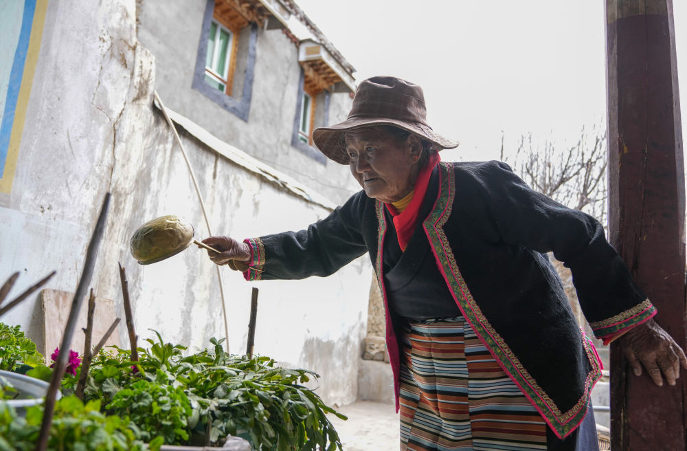 苦难和新生——西藏翻身农奴影像档案:卓玛吾珠 苦难和新生——西藏翻身农奴影像档案:卓玛吾珠